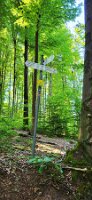 Bild-06