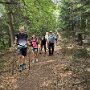 Zwei Tagestouren Pfälzerwald