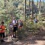 Zwei Tagestouren Pfälzerwald