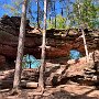 Zwei Tagestouren Pfälzerwald