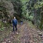 Wächter des Dreisamtals