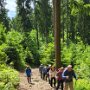 Hausach-Einbach Rundwanderung von Obertal