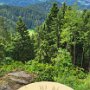 Hausach-Einbach Rundwanderung von Obertal