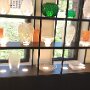Museumsshop Lalique