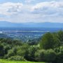 Bild-(11)