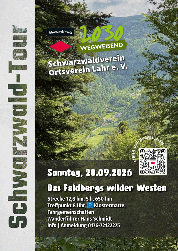 Flyer - Des Feldbergs wilder Westen