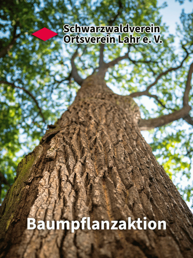 Baumpflanzaktion